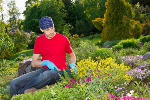 Hedge trimming and safe tool use in a residential garden