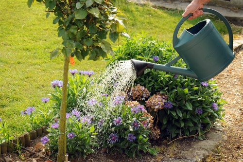 Gardener assessing a residential garden before starting work