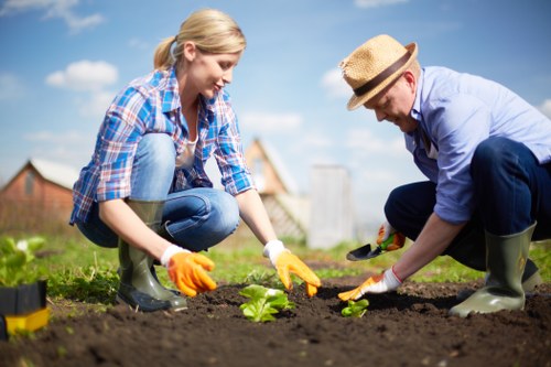 Two gardeners discussing safe working methods near a hedge